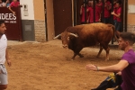La Sagrada Familia inicia las exhibiciones taurinas con toros de Montalvo y Valdefresno
