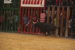 Nules abre las fiestas de la Soledad con un toro de Lagunajanda