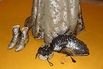 'Borgoña' y 'ciruela', los colores de los trajes de las Reinas Falleras de Burriana 2018