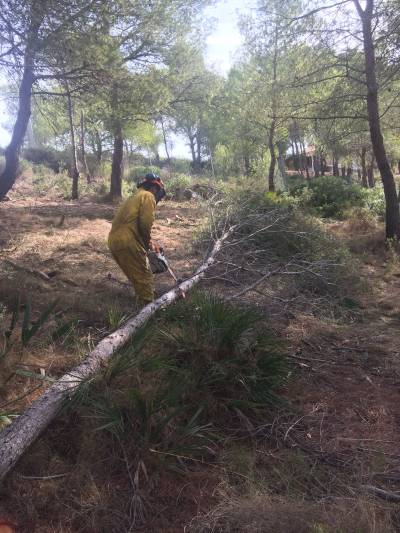 El Ayuntamiento activa un proyecto para la prevencin de los incendios forestales en parcelas de la localidad