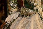 Silvia Navarro Godos, FM Barri d'Onda