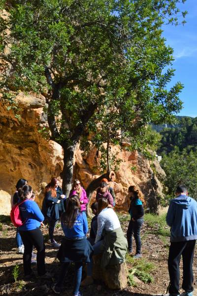 Fotografia /Galeria/2017/11/165420_95855/3_M1.jpg