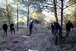 Las Brigadas Forestales realizan tareas de autoprotección en las áreas urbanizadas de Sant Francesc y la Murtera de Onda