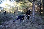 Las Brigadas Forestales realizan tareas de autoprotección en las áreas urbanizadas de Sant Francesc y la Murtera de Onda