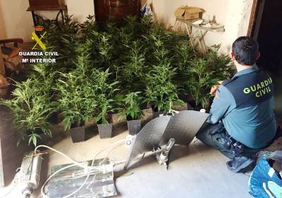 La Guardia Civil detiene a una mujer por cultivo de marihuana en Moncofa