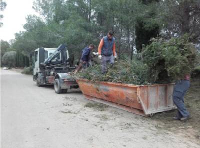 La Taula del Snia finalitza els treballs de neteja i desbrossament en nou zones de Benicarl