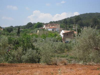 Fotografia /Galeria/2017/4/156372_89818/6_M1.jpg