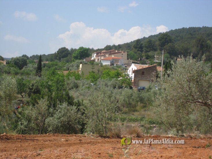 El Mas de la Vila celebra la romeria de l?ermita de Sant Josep