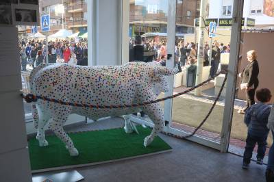 Fotografia /Galeria/2017/4/156470_89894/6_M1.jpg