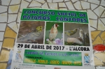ULTIMO TORNEO EN L'ALCORA DE CARA AL NACIONAL DE ORNITOLOGÍA QUE ACOGERÁ EL 27 Y 28 DE MAYO