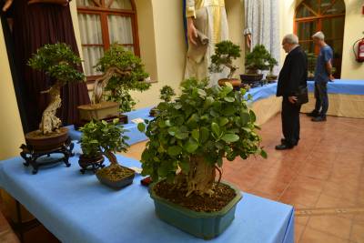 Fotografia /Galeria/2017/5/157708_90553/2_M1.jpg