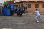Vila-real cierra el capítulo taurino de las fiestas de Sant Pasqual