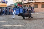 Vila-real cierra el capítulo taurino de las fiestas de Sant Pasqual