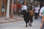Vila-real cierra el captulo taurino de las fiestas de Sant Pasqual