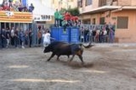 Vila-real cierra el capítulo taurino de las fiestas de Sant Pasqual