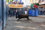 Vila-real cierra el capítulo taurino de las fiestas de Sant Pasqual