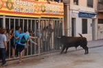 Vila-real cierra el capítulo taurino de las fiestas de Sant Pasqual
