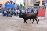 Vila-real cierra el capítulo taurino de las fiestas de Sant Pasqual