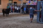 Vila-real cierra el capítulo taurino de las fiestas de Sant Pasqual