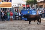 Vila-real cierra el capítulo taurino de las fiestas de Sant Pasqual