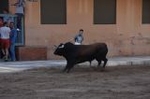 Vila-real cierra el capítulo taurino de las fiestas de Sant Pasqual