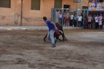 Vila-real cierra el capítulo taurino de las fiestas de Sant Pasqual