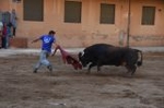 Vila-real cierra el capítulo taurino de las fiestas de Sant Pasqual