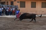 Vila-real cierra el capítulo taurino de las fiestas de Sant Pasqual