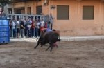 Vila-real cierra el capítulo taurino de las fiestas de Sant Pasqual