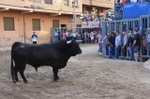 Vila-real cierra el capítulo taurino de las fiestas de Sant Pasqual