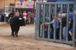 Vila-real cierra el capítulo taurino de las fiestas de Sant Pasqual