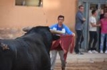 Vila-real cierra el capítulo taurino de las fiestas de Sant Pasqual