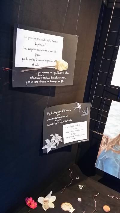 Fotografia /Galeria/2017/5/157988_90651/5_M1.jpg