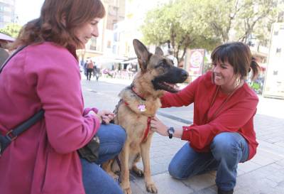 Salud Pblica organiza una charla para dueos de mascotas para saber actuar ante una emergencia