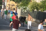 Santa Bárbara vibra con su popular 'bou en corda'