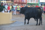 Encierro rápido y sin incidentes en Les Penyes en Festes