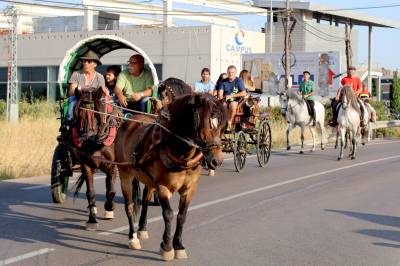 Fotografia /Galeria/2017/8/161689_92777/3_M1.jpg