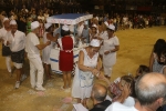 -la Peña Estacats logra el primer premio en el concurso de disfraces de Nules
