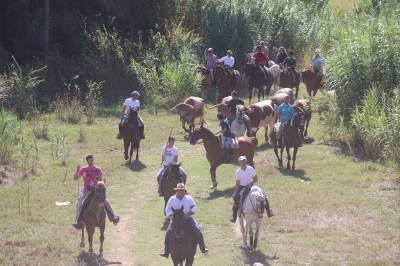 Fotografia /Galeria/2017/9/162604_93517/4_M1.jpg