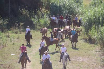 Fotografia /Galeria/2017/9/162604_93517/5_M1.jpg