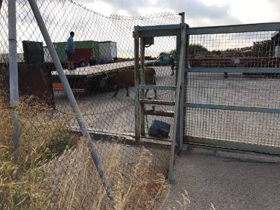 Fotografia /Galeria/2017/9/162646_93558/2_M1.jpg