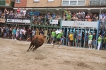 Susto, trifulca y toro a las corrales para acabar la Misericòrdia