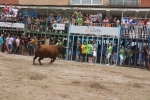 Susto, trifulca y toro a las corrales para acabar la Misericòrdia