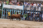Susto, trifulca y toro a las corrales para acabar la Misericòrdia