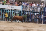 Susto, trifulca y toro a las corrales para acabar la Misericòrdia