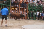 Susto, trifulca y toro a las corrales para acabar la Misericòrdia