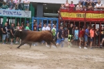 Susto, trifulca y toro a las corrales para acabar la Misericòrdia