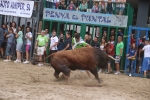 Susto, trifulca y toro a las corrales para acabar la Misericòrdia