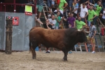 Susto, trifulca y toro a las corrales para acabar la Misericòrdia