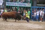 Susto, trifulca y toro a las corrales para acabar la Misericòrdia